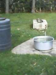 the piped tap water uhurus pawn witches guard under lock and key for their drinking stored in outter kitchen and bathing while the roof top rain water accessible to the dog and sheeps av 11