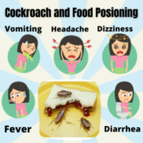 cockroach food poisoning symptoms