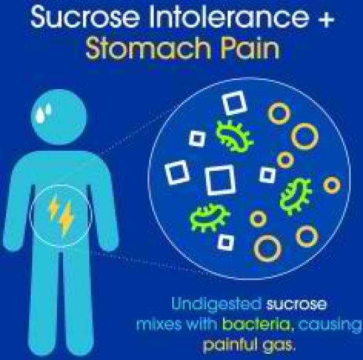 csid sucrose lactose intolerance. cant take boiled tubers but can piles of roasted daily and min. boiled rice thrashed maize or fresh milk unlike mala. cant take fanta or kenyacane for s