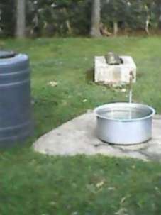 the piped tap water that allegedly comes infrequently once in a while which the witches guard under lock key supplement with rain water harvested from the roof accessible to the dog 24 1 2